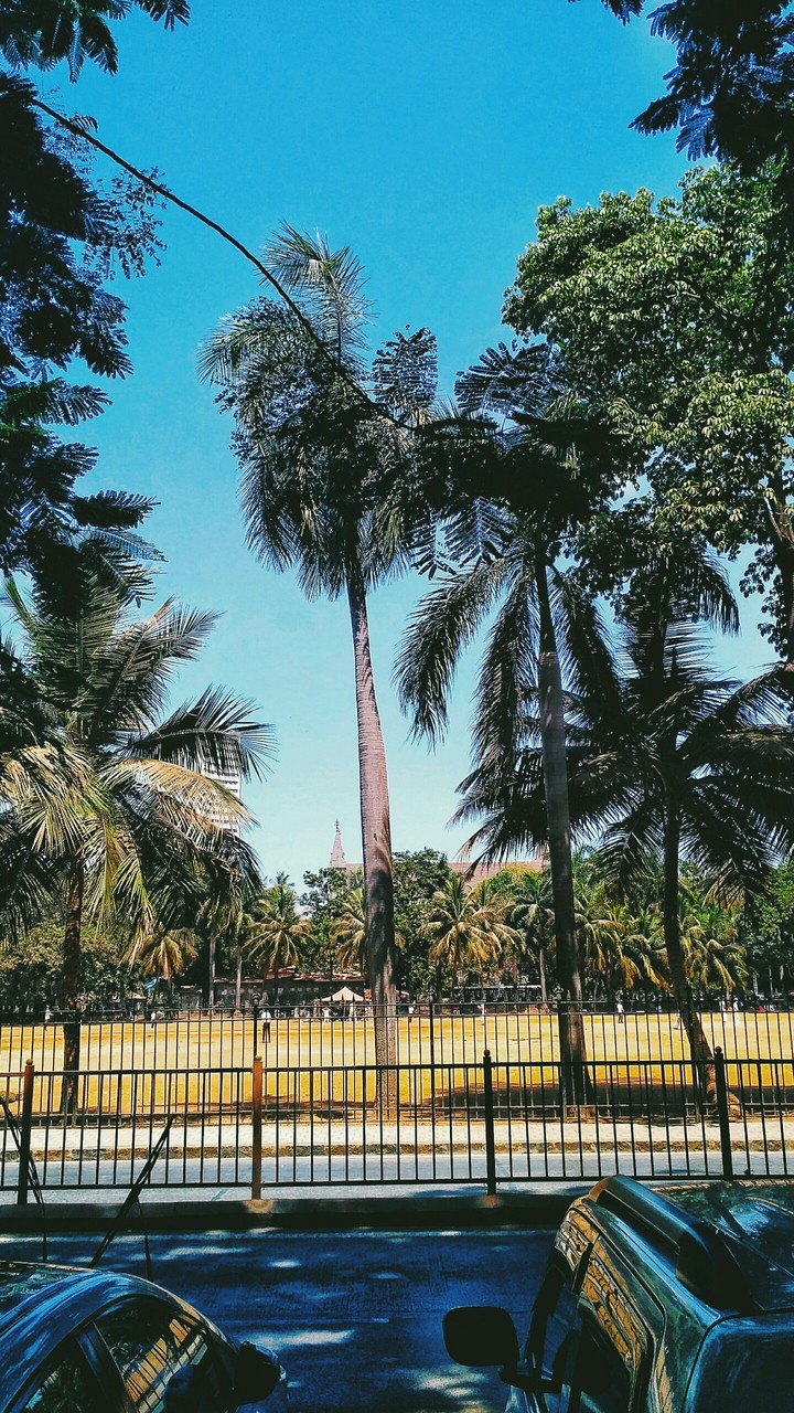 beauty of Mumbai
