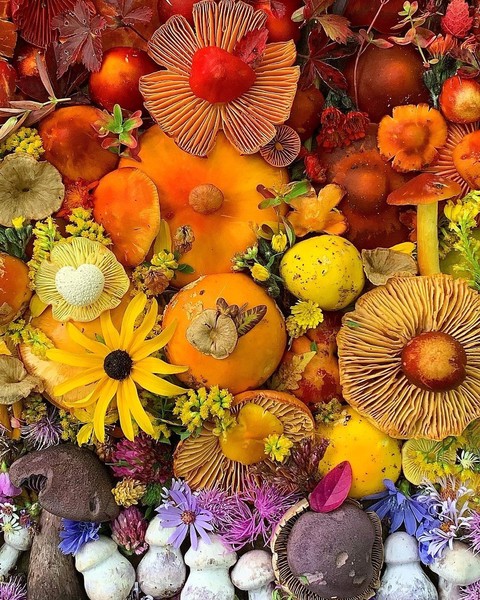 ταπετσαρίες botany, nature