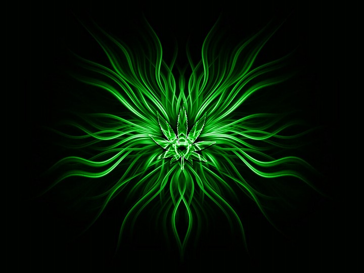 °○° °○° °○°