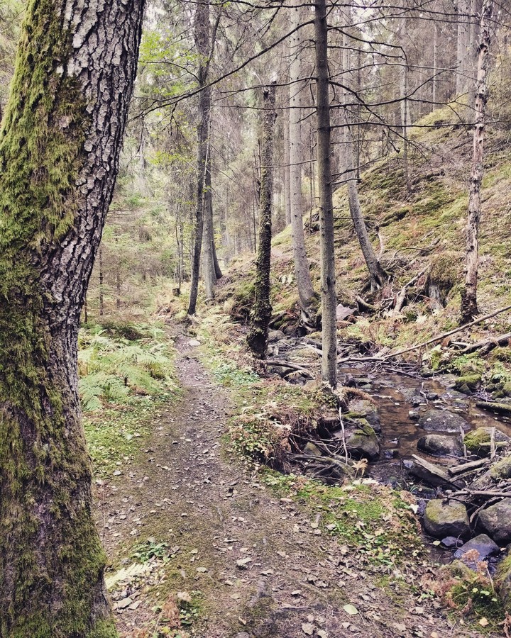A small flood