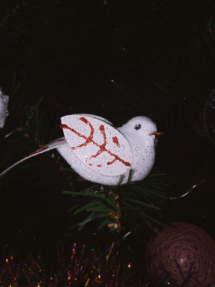 birdy Christmas птичка