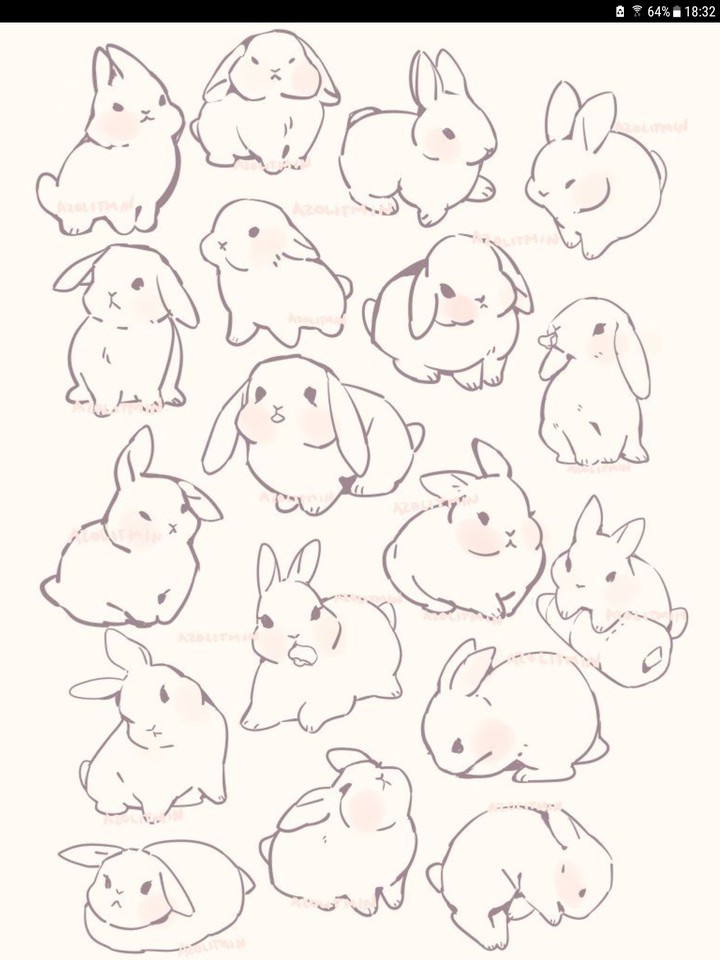 bunny
