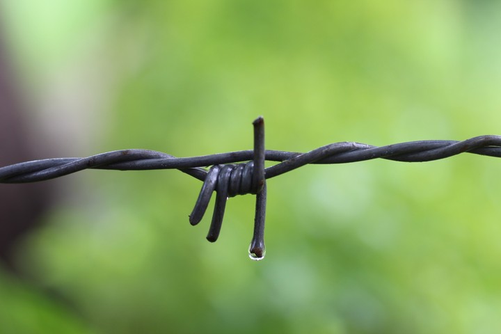 rain