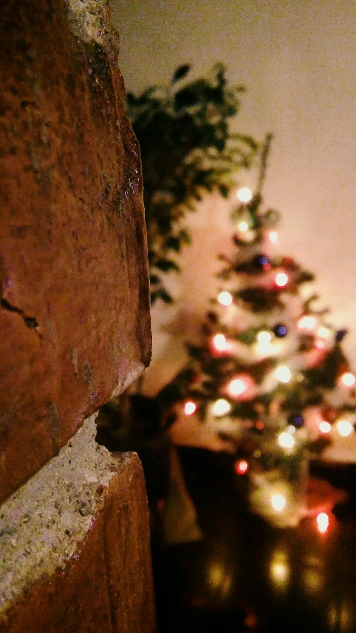 Christmas spirit