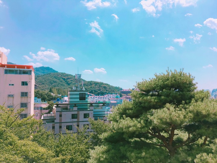 맑은 날