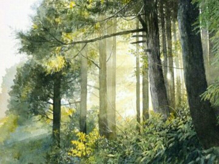 nature