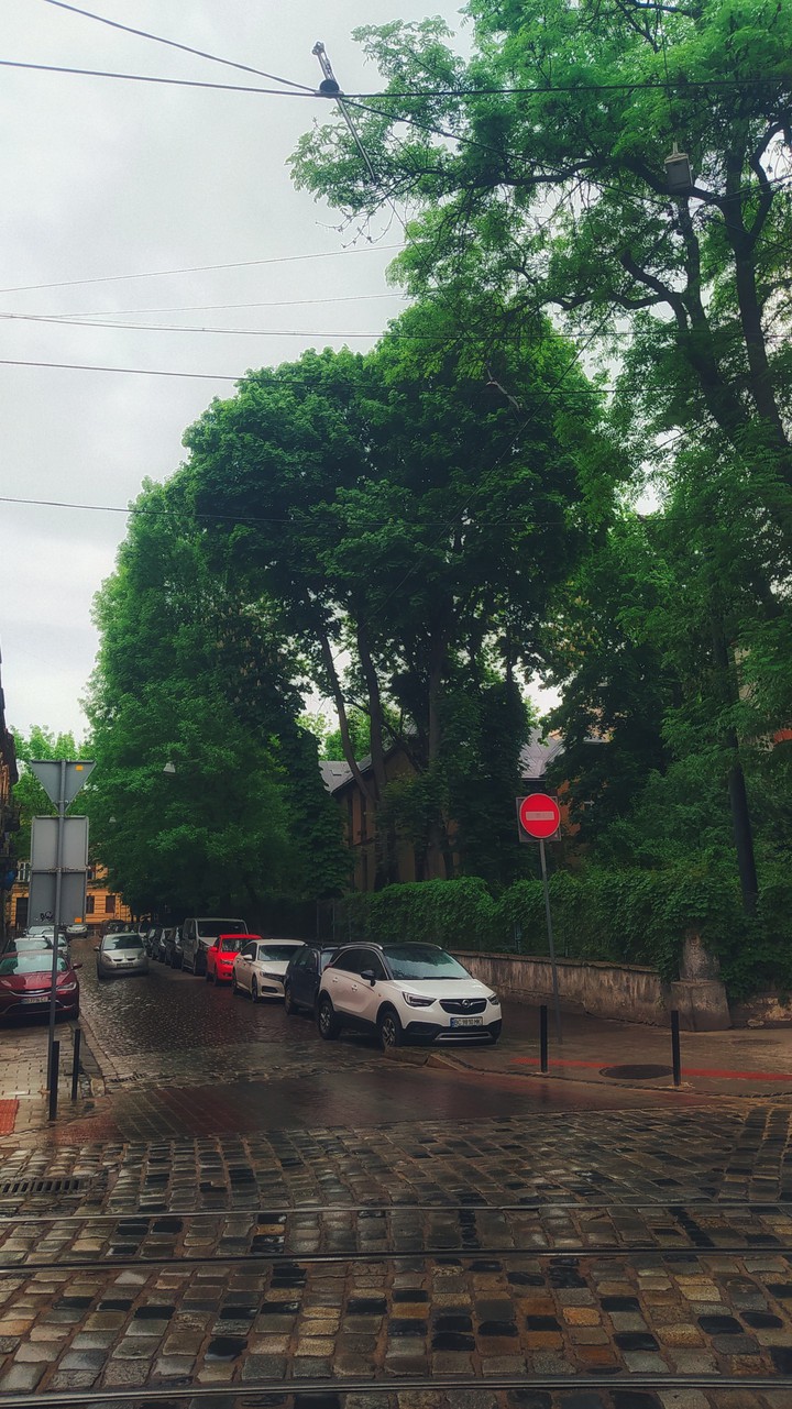 lviv