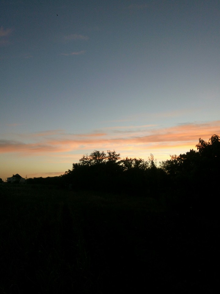 Pink clouds