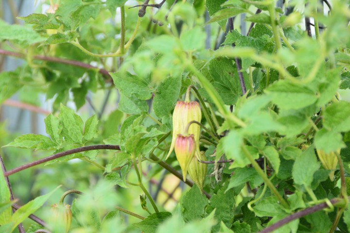 용문산이미지