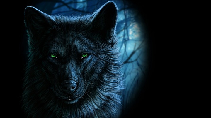Moonlight Night.