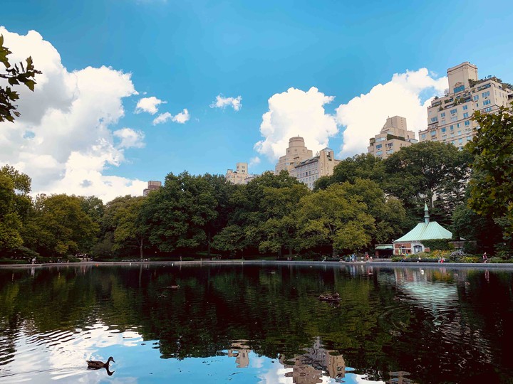 Central Park New York