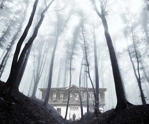 тапети mist, fog