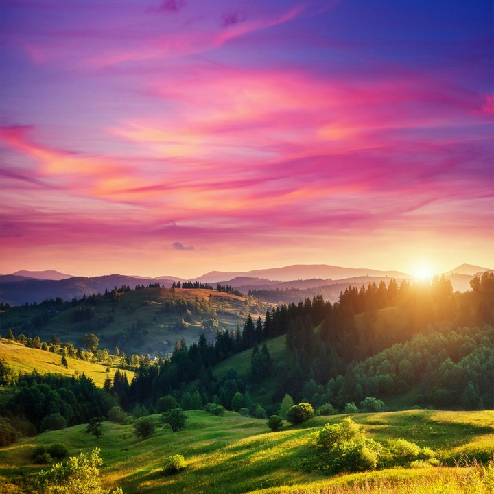 Sunset