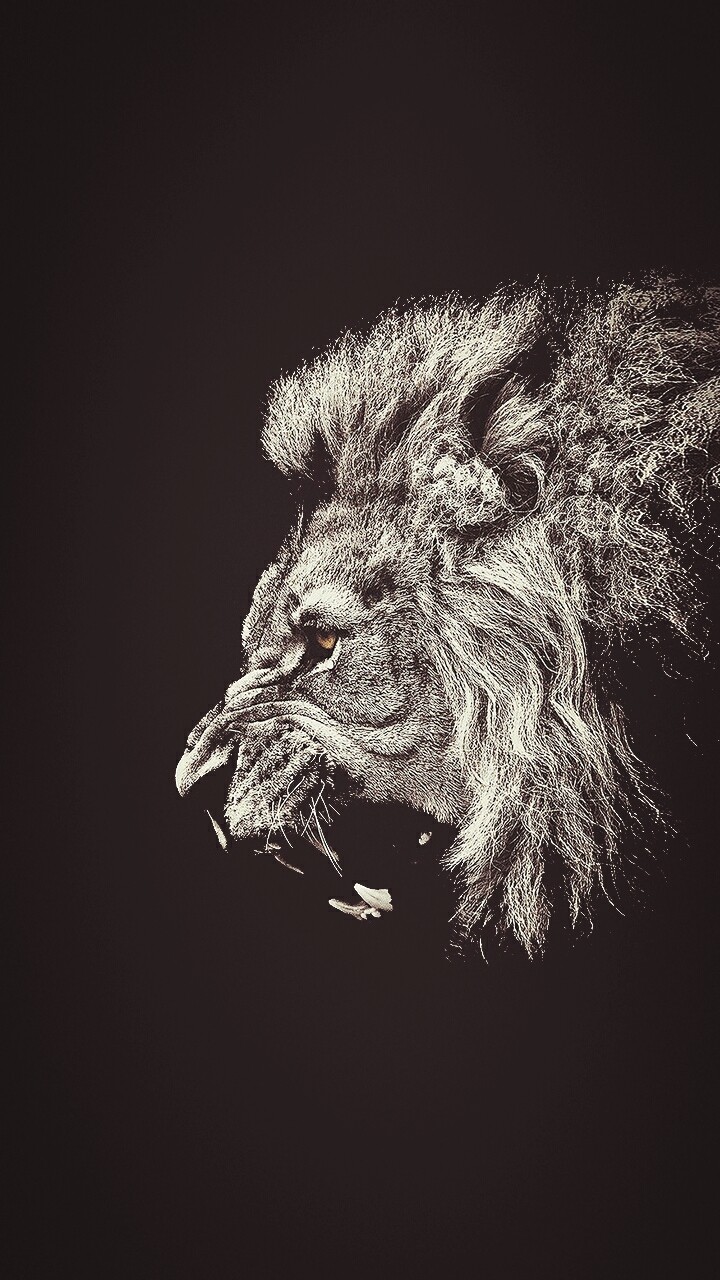 Roar