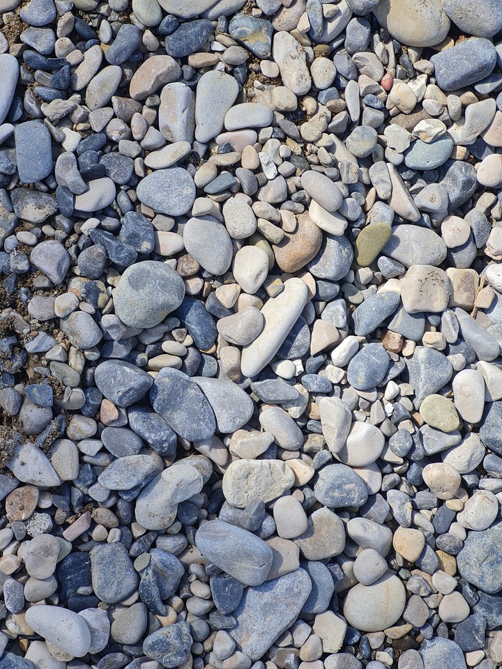 Do these beautiful stones belong to land or sea?