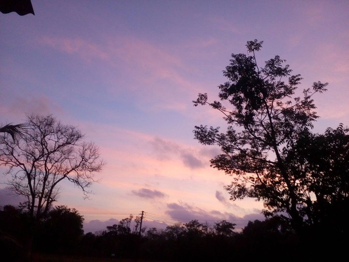 Nature