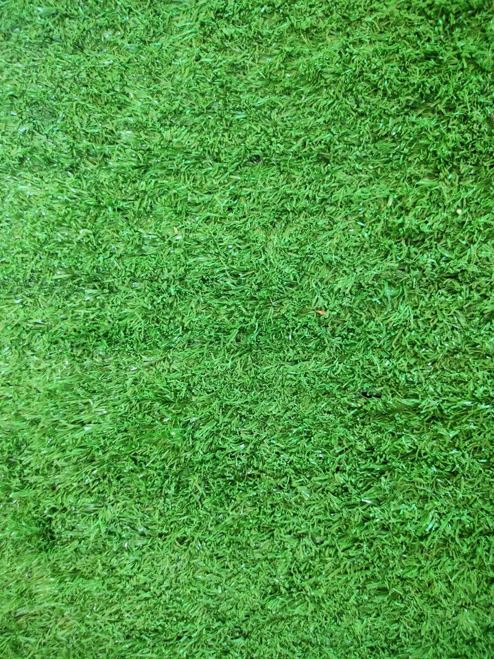Green grass background