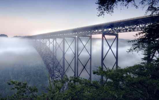 gorgeous fog