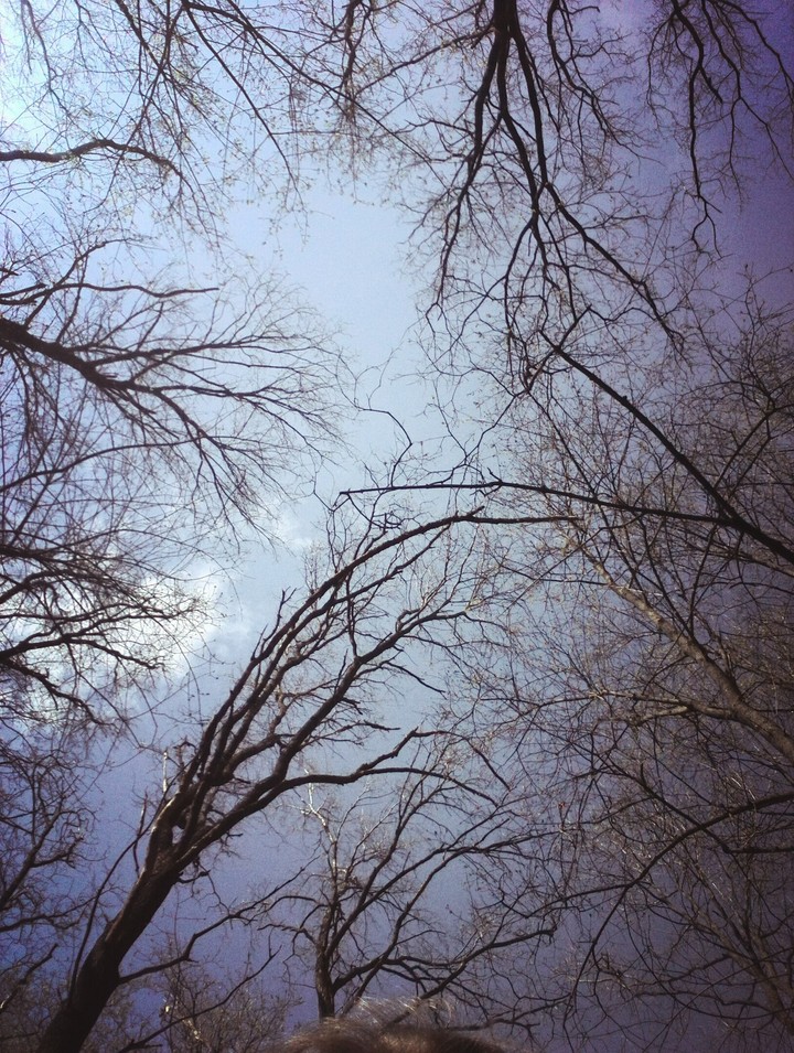 calmness