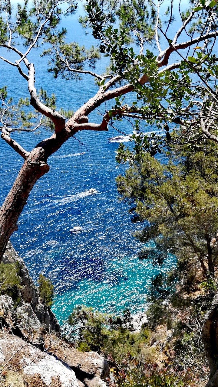 Capri
