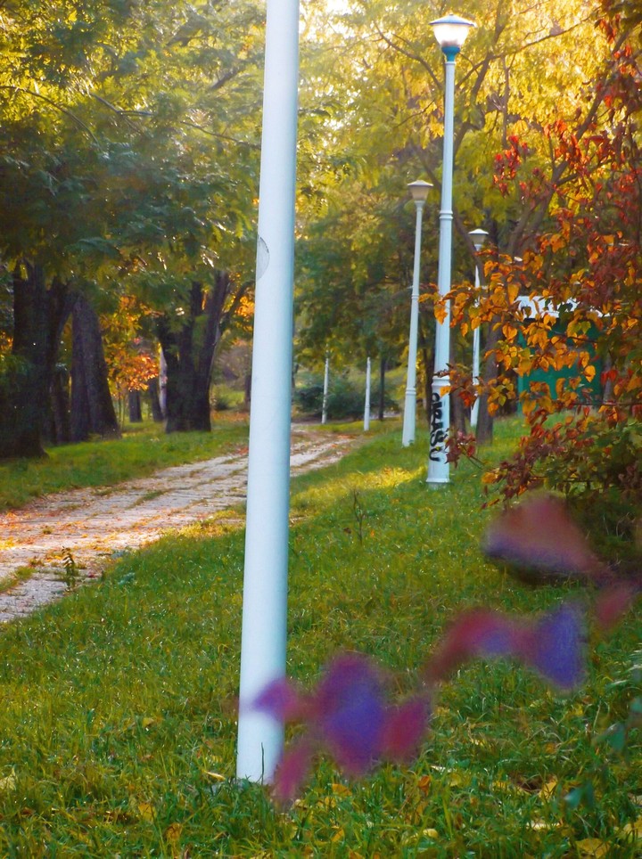 park autumn