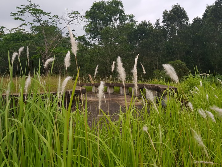 Trat