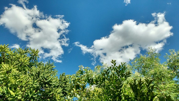 cloud