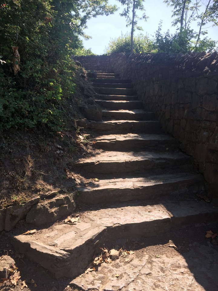 steps