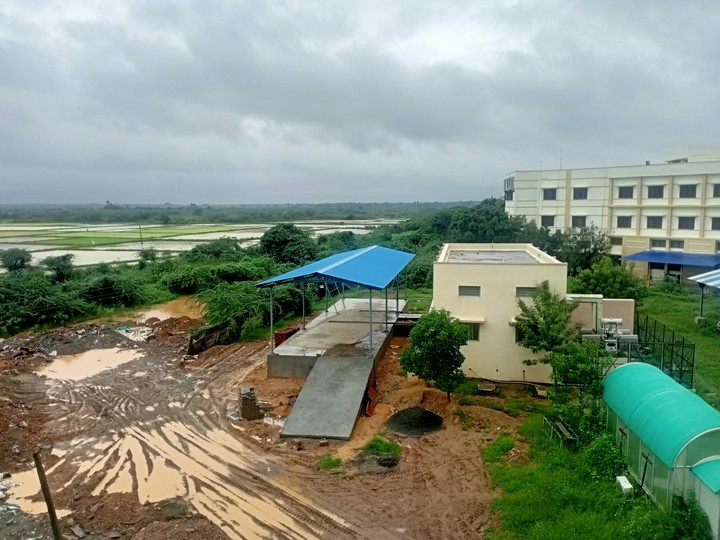 during rain