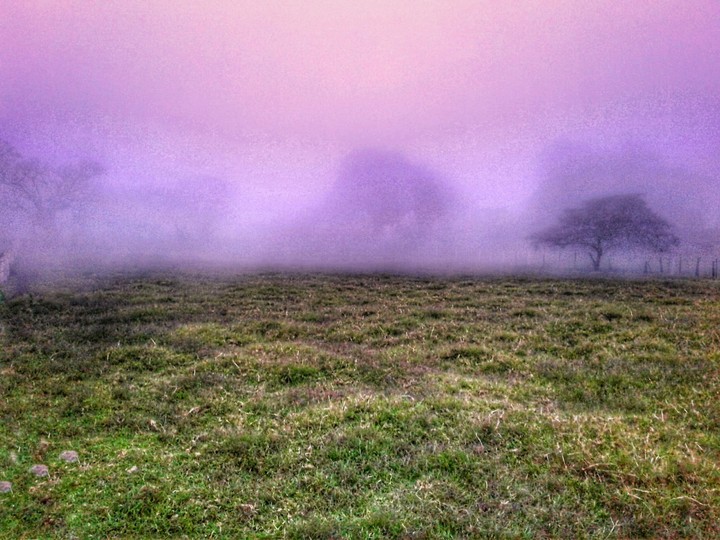 Neblina espesa.