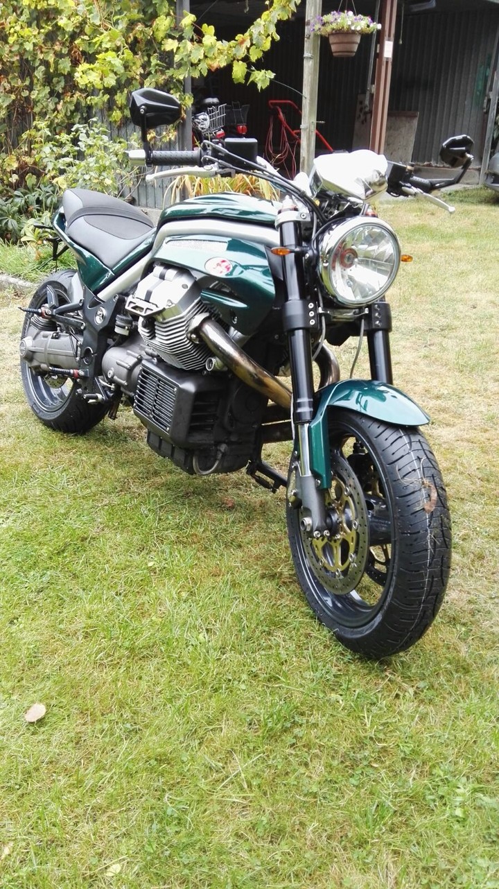 Guzzi