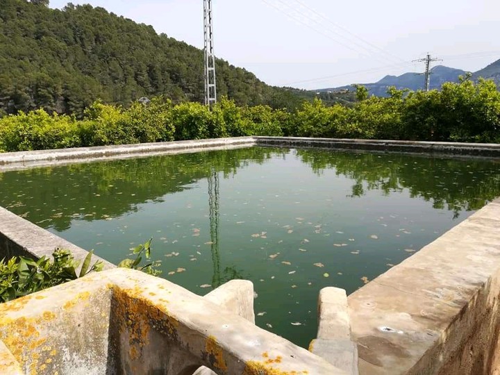 #water