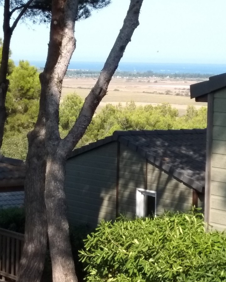 Vue sur la végétation et la mer