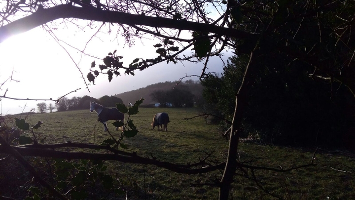 Bom dia!
