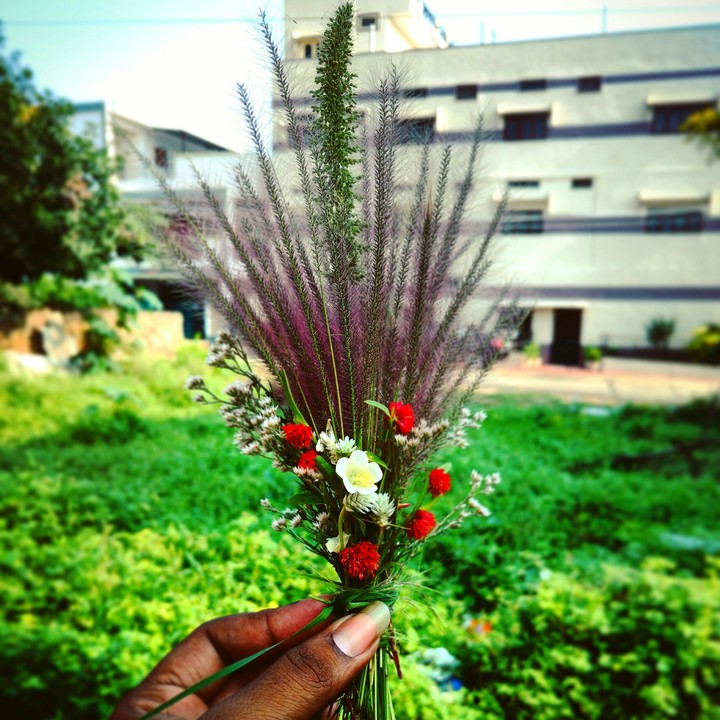 flowers