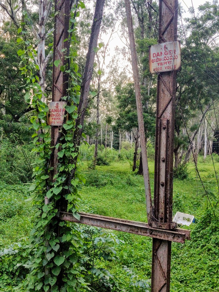 no danger for nature
