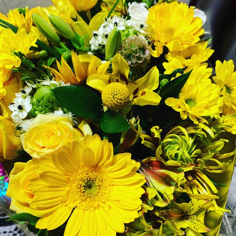 flores