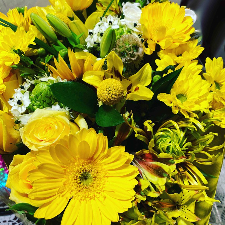 flores