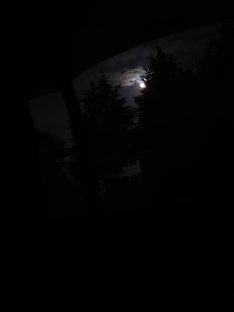 Midnight, 月光壁纸