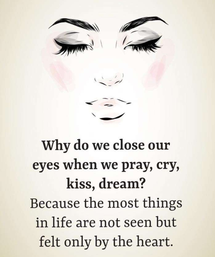 Quotes