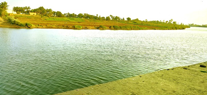 River bank