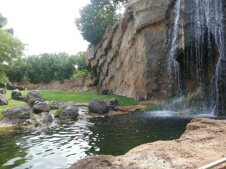 naturaleza