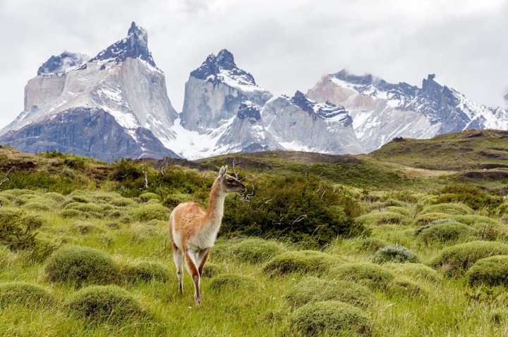 Chile