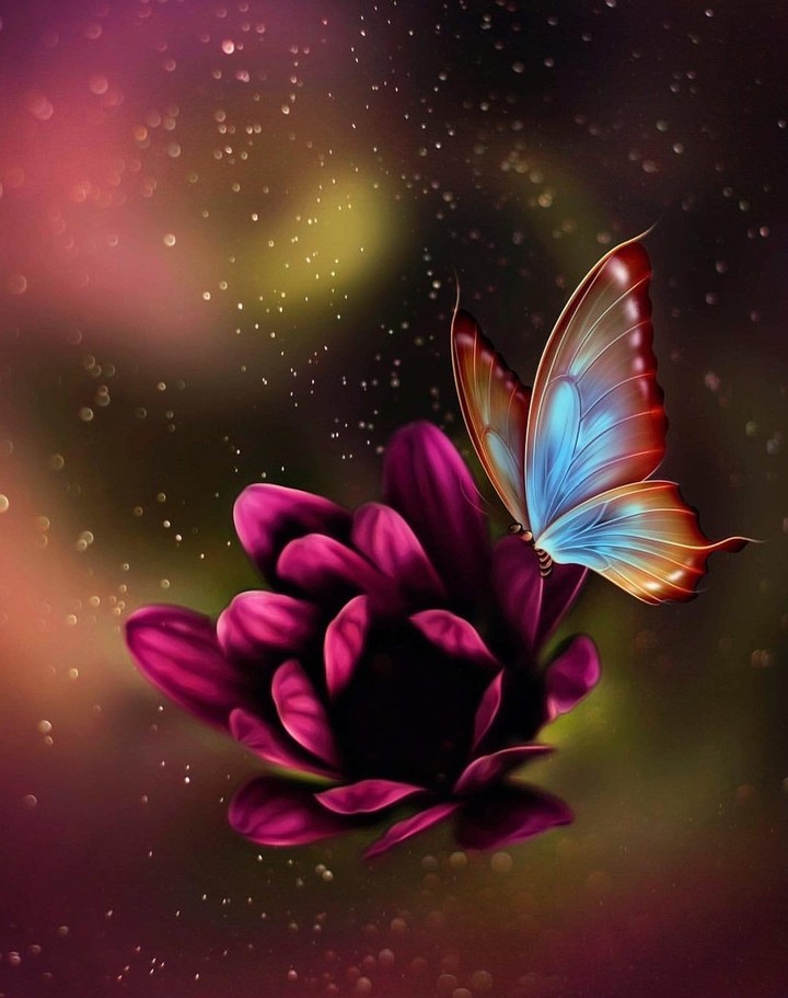 Lovely drawing
