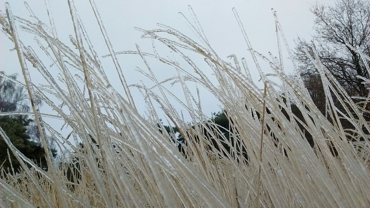 ice