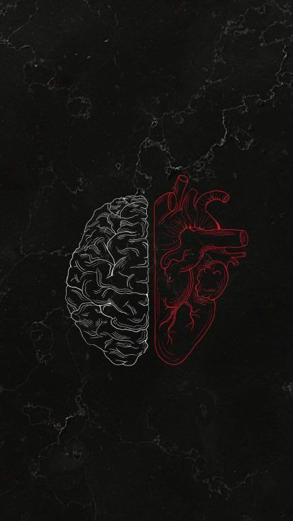 mind or heart ❤