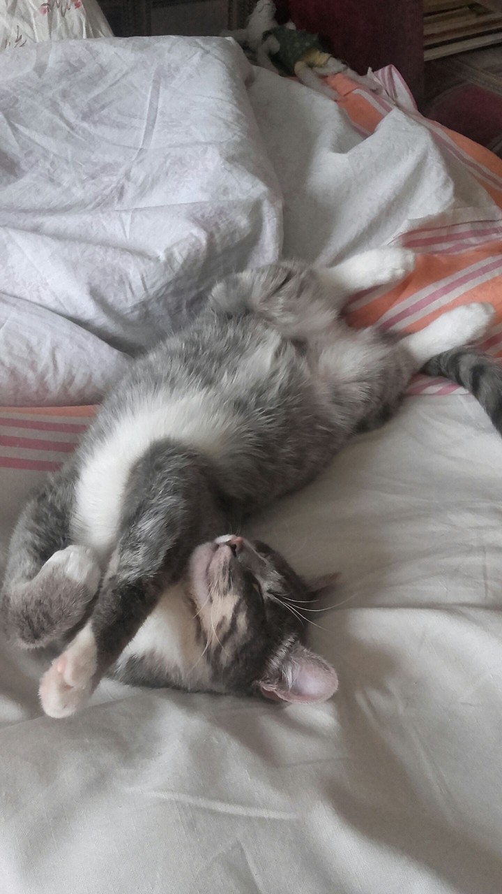 Sleepy