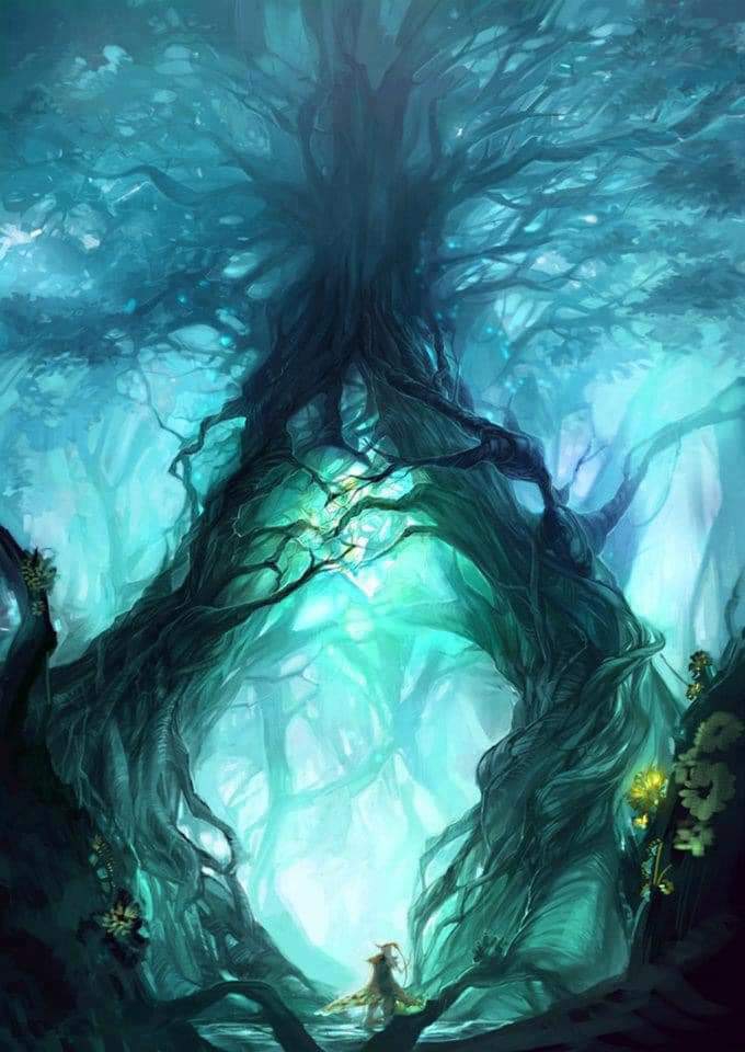 fantacy forest