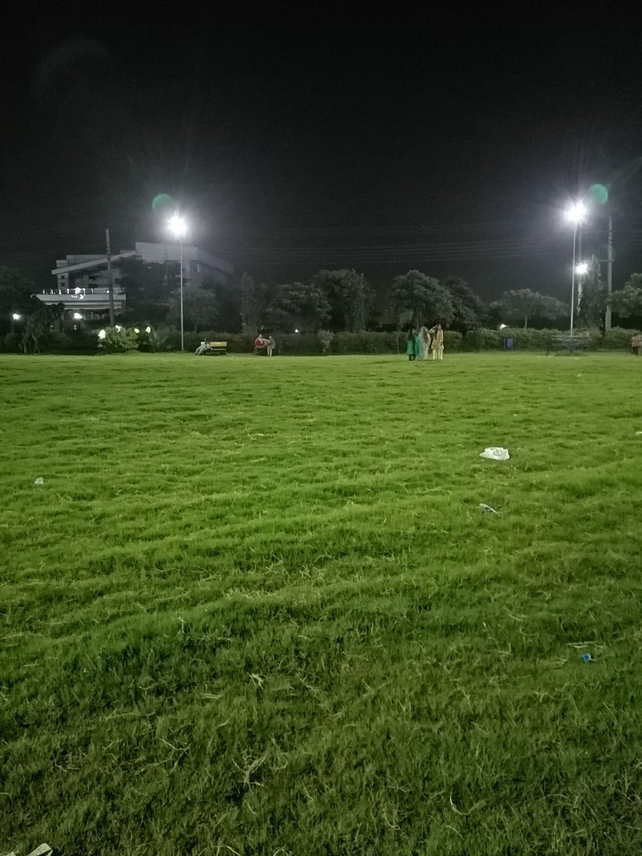 green night