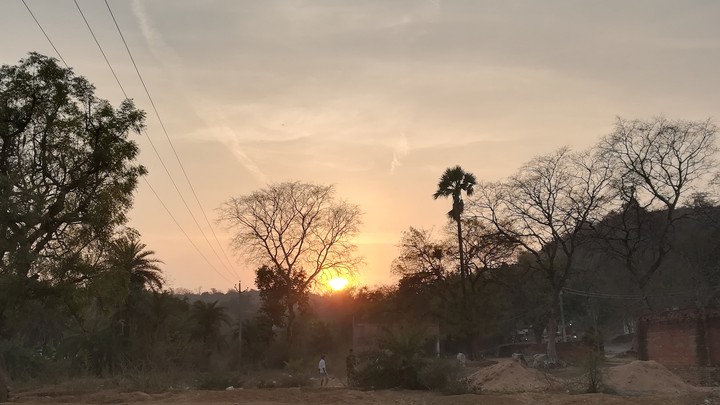 Beautiful Nature in Village